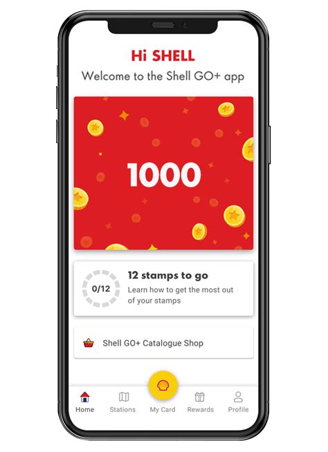 shell go program